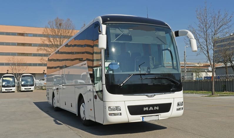 Buses operator in Karlovac